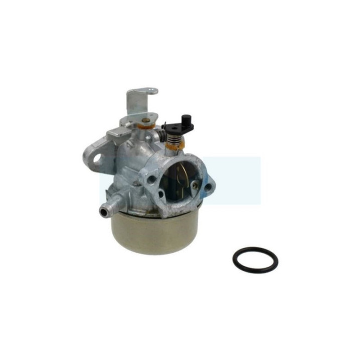 Carburateur pour moteur Briggs & Stratton (492499)