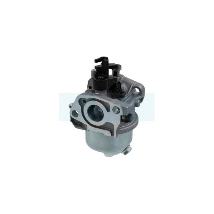 Carburateur pour moteur Honda (16100ZG9803)