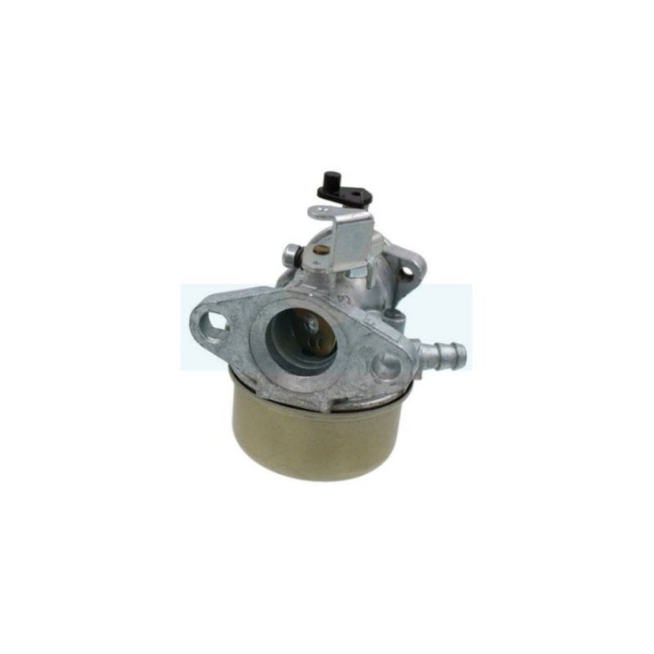 Carburateur pour moteur Briggs & Stratton (492499)