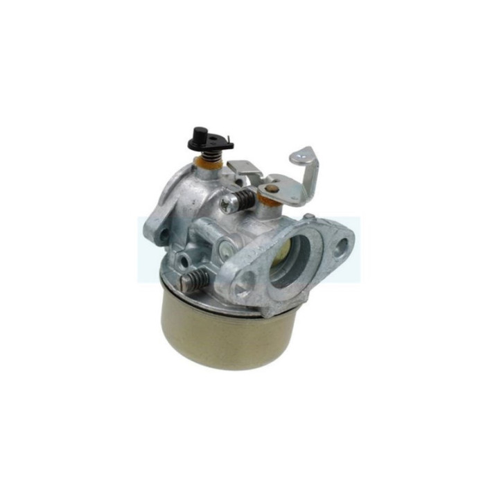 Carburateur pour moteur Briggs & Stratton (492499)