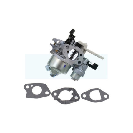 Carburateur pour moteur Briggs & Stratton (595652)