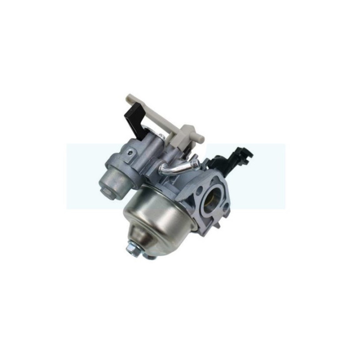 Carburateur pour moteur Briggs & Stratton (595652)
