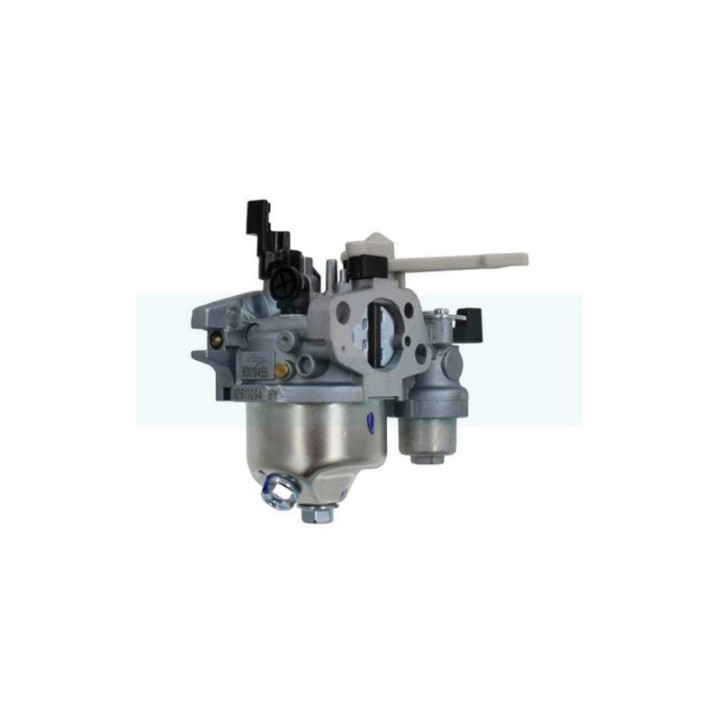 Carburateur pour moteur Briggs & Stratton (595652)