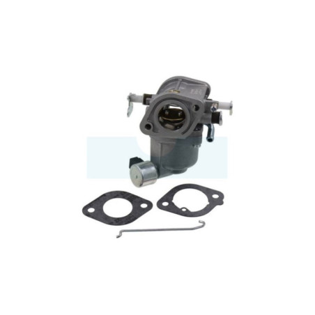 Carburateur pour moteur Briggs & Stratton (597126)