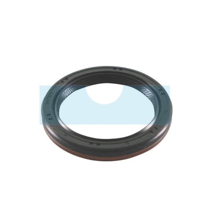 Joint spi pour moteur Briggs & Stratton (795387)