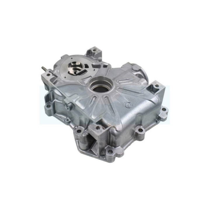 Carter d'huile pour moteur Briggs & Stratton (796307)