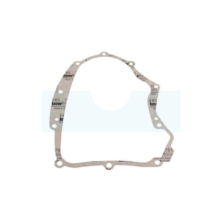 Carter d'huile pour moteur Briggs & Stratton (796307)
