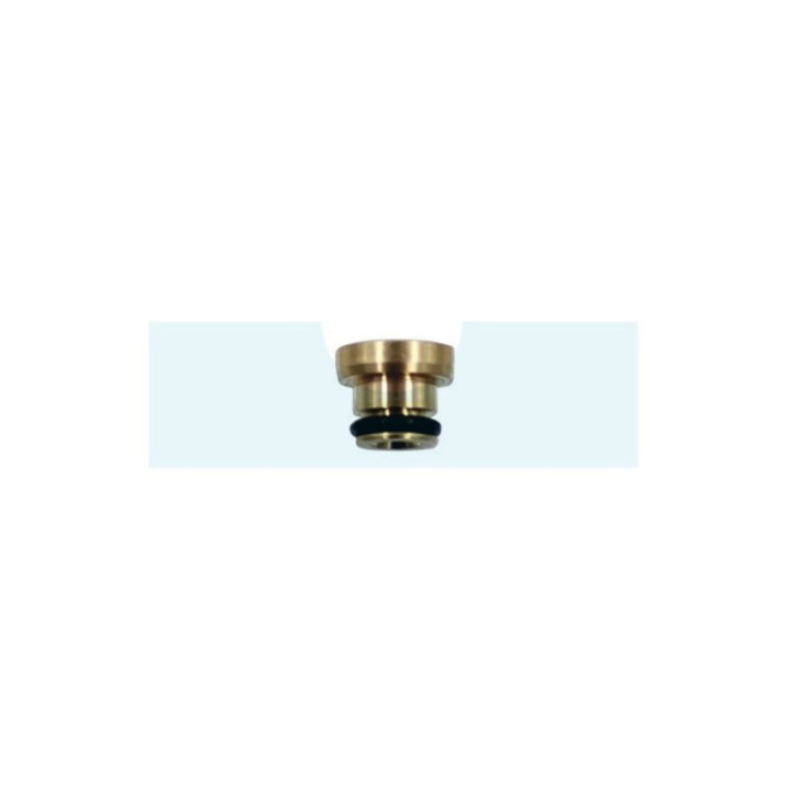 Gicleur principal pour moteur Briggs & Stratton (699733)