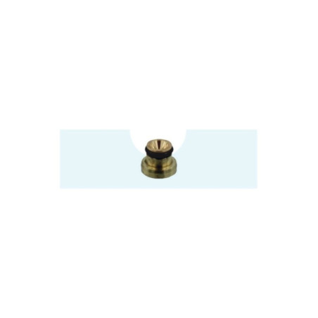 Gicleur principal pour moteur Briggs & Stratton (791406)