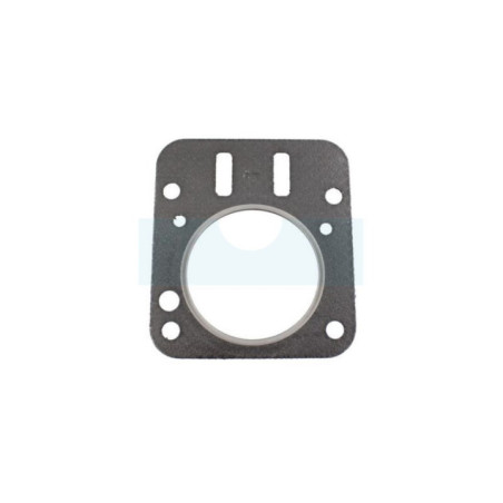 Joint de culasse pour moteur Briggs & Stratton (798461)