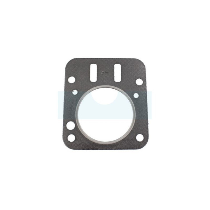 Joint de culasse pour moteur Briggs & Stratton (798461)