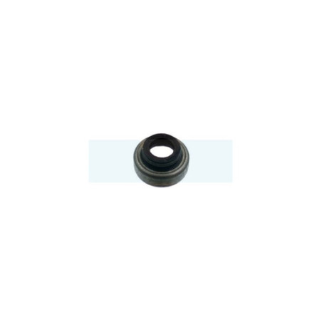 Joint de queue de soupape pour moteur Briggs & Stratton (697338)