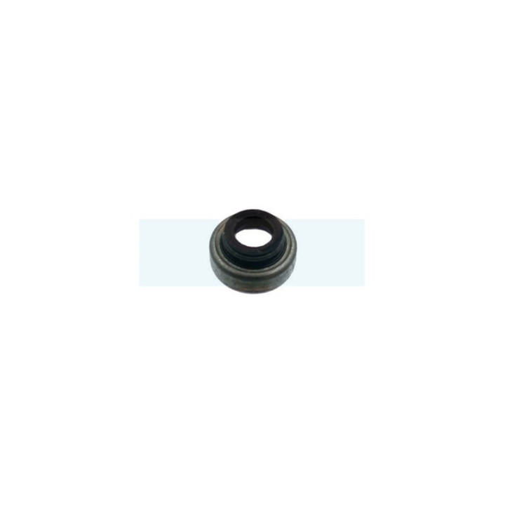 Joint de queue de soupape pour moteur Briggs & Stratton (697338)