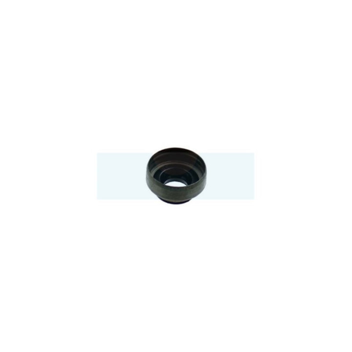 Joint de queue de soupape pour moteur Briggs & Stratton (697338)