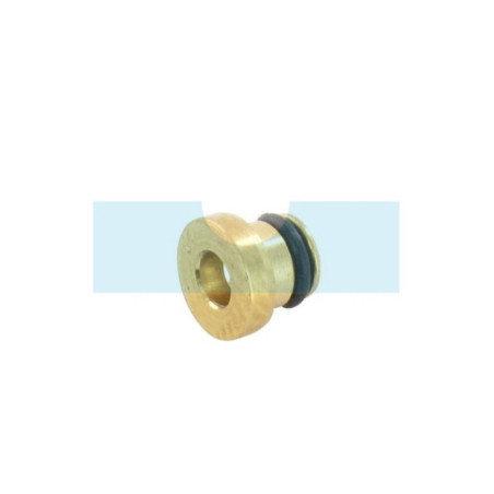 Gicleur principal pour moteur Briggs & Stratton (699897)