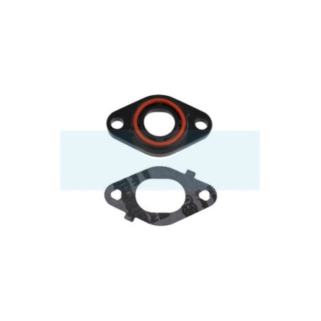 Bride de carburateur pour moteur Briggs & Stratton (796595)