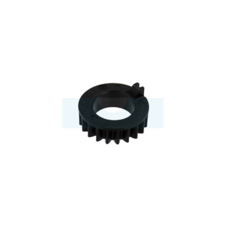 Pignon de vilebrequin pour moteur Briggs & Stratton (796210)