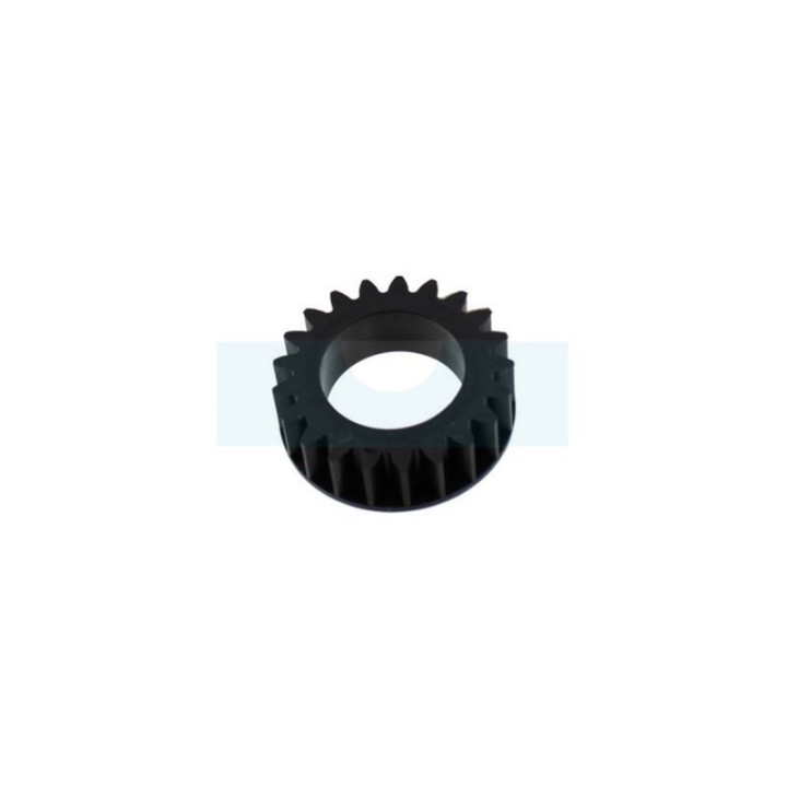Pignon de vilebrequin pour moteur Briggs & Stratton (796210)