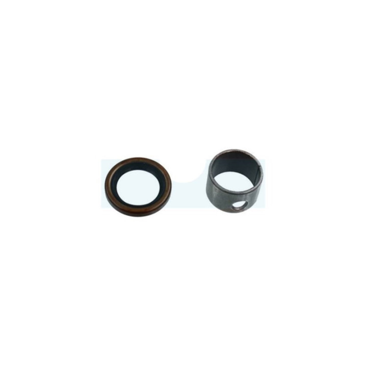 Roulement avec Joint pour moteur Briggs & Stratton (796961)