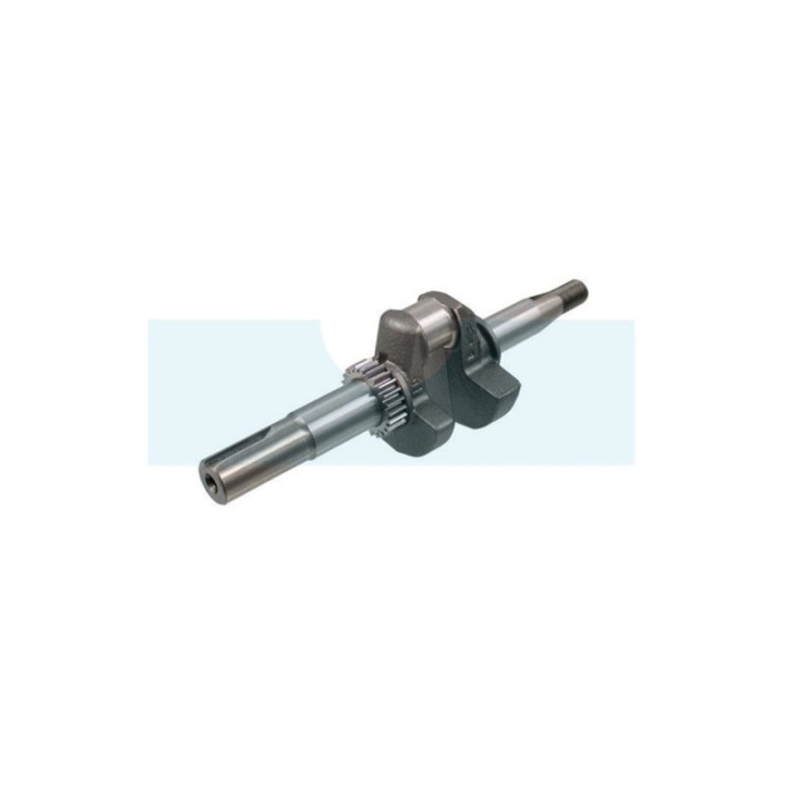 Vilebrequin pour moteur Briggs & Stratton (797020)