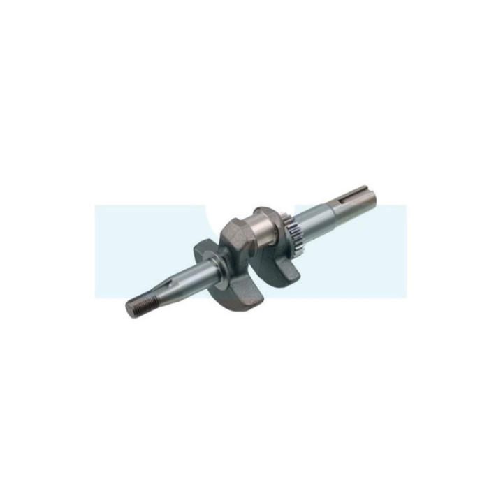 Vilebrequin pour moteur Briggs & Stratton (797020)