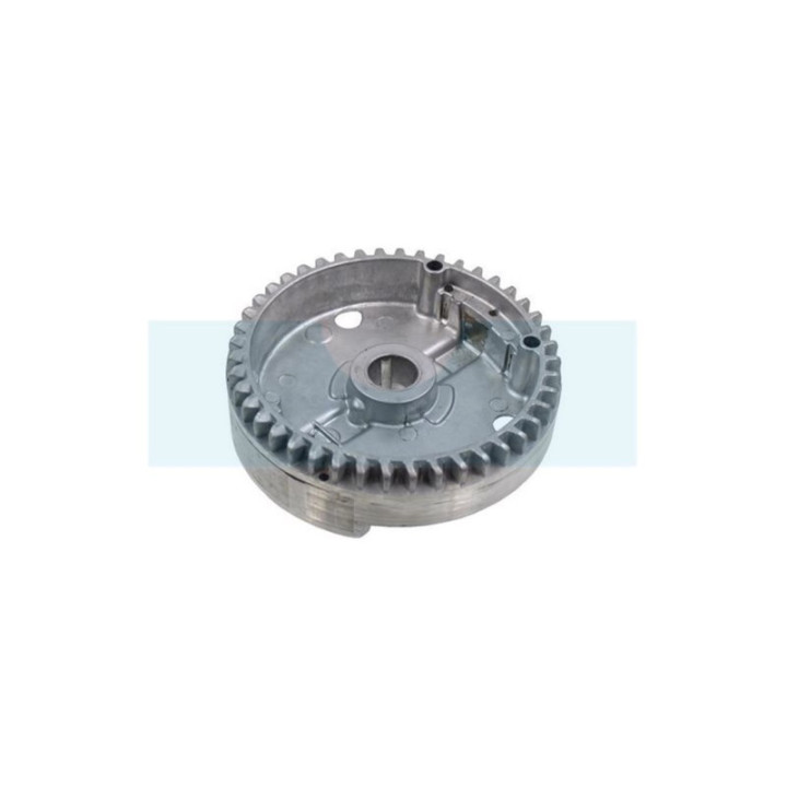 Volant moteur pour moteur Briggs & Stratton (595183)