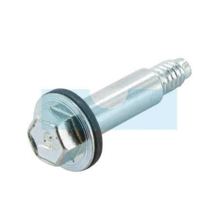 Kit boulon + rondelle pour moteur Briggs & Stratton (692311)