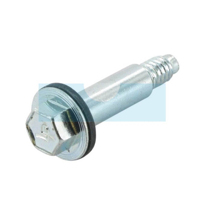 Kit boulon + rondelle pour moteur Briggs & Stratton (692311)