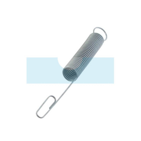 Ressort de régulateur pour moteur Briggs & Stratton (262299)