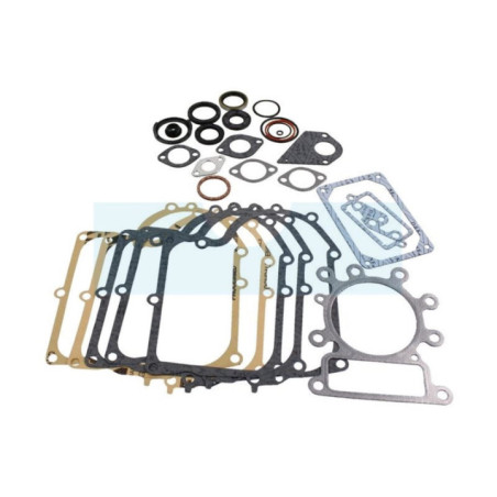 Pochette de joint pour moteur Briggs & Stratton (495993)
