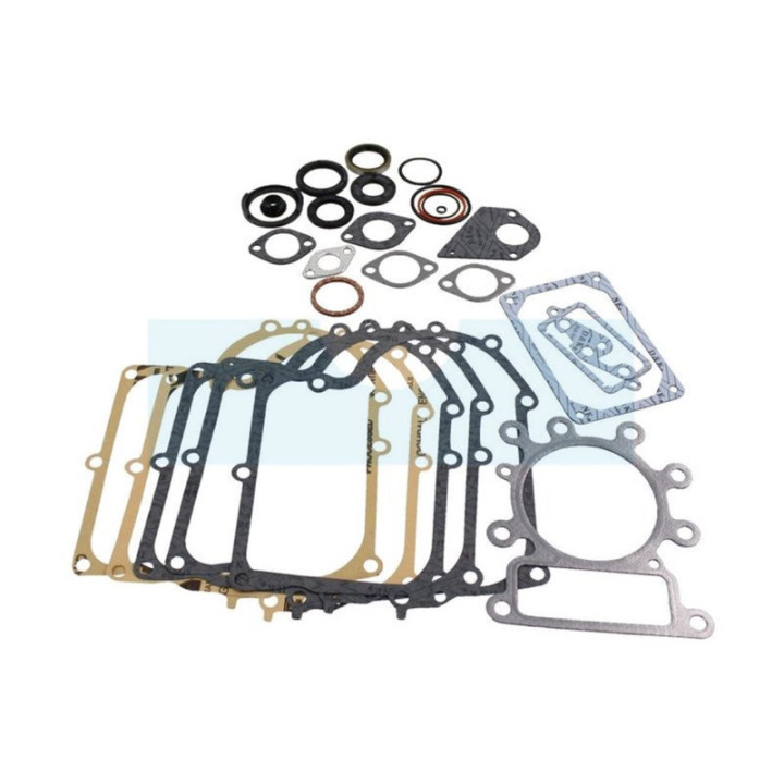 Pochette de joint pour moteur Briggs & Stratton (495993)