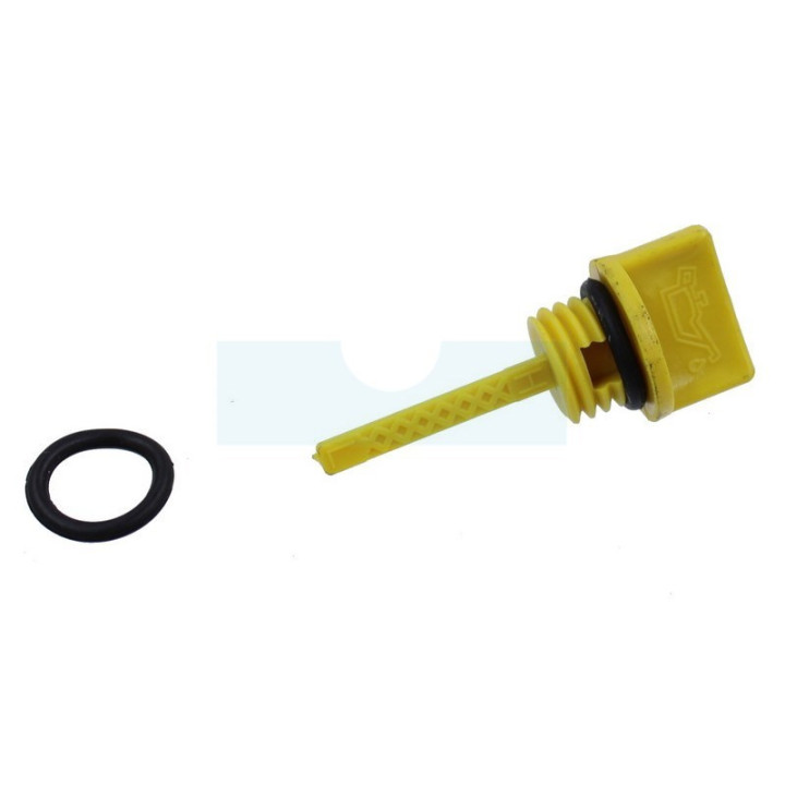 Joint et jauge pour moteur Briggs & Stratton (797325)