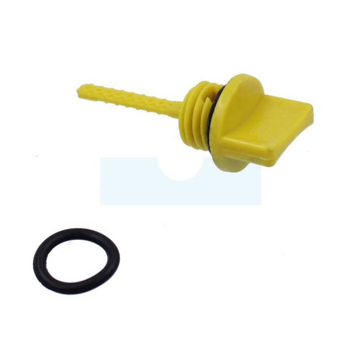 Joint et jauge pour moteur Briggs & Stratton (797325)