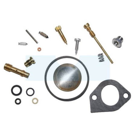 Kit réparation carburateur pour moteur Briggs & Stratton (299852)