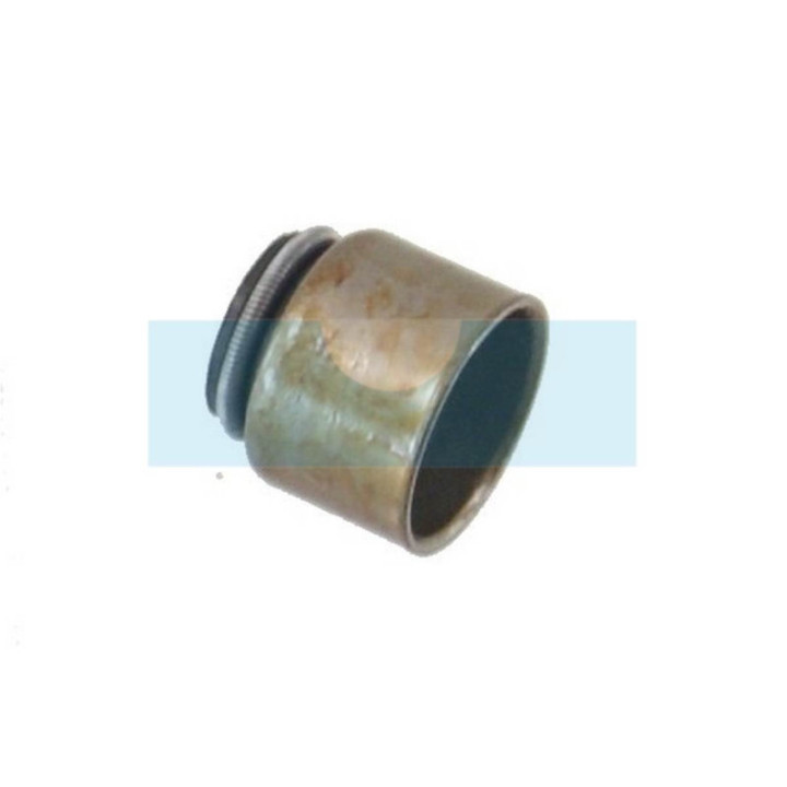 Joint de queue de soupape pour moteur Briggs & Stratton (690968)