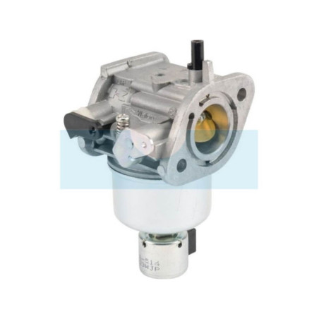 Carburateur pour moteur Kawasaki (150037084)