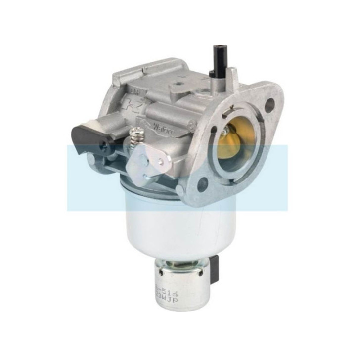 Carburateur pour moteur Kawasaki (150037084)