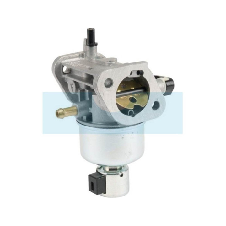 Carburateur pour moteur Kawasaki (150037084)