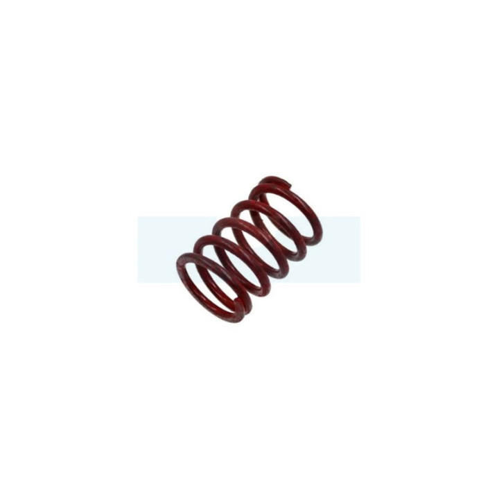 Ressort de soupape d'échappement pour moteur Briggs & Stratton (691597)