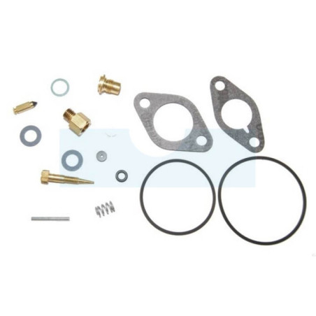 Kit réparation carburateur pour moteur Tecumseh (29155)