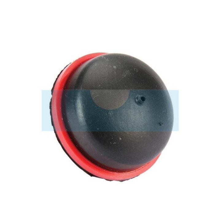 Pompe d'amorçage pour moteur Briggs & Stratton (793382)