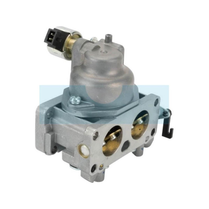Carburateur pour moteur Kawasaki (150040764)