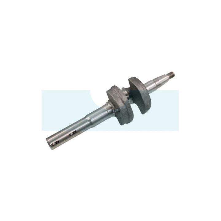Vilebrequin pour moteur Honda (06131Z8DW00)