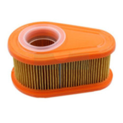 Filtre à air pour moteur Briggs & Stratton (792038)