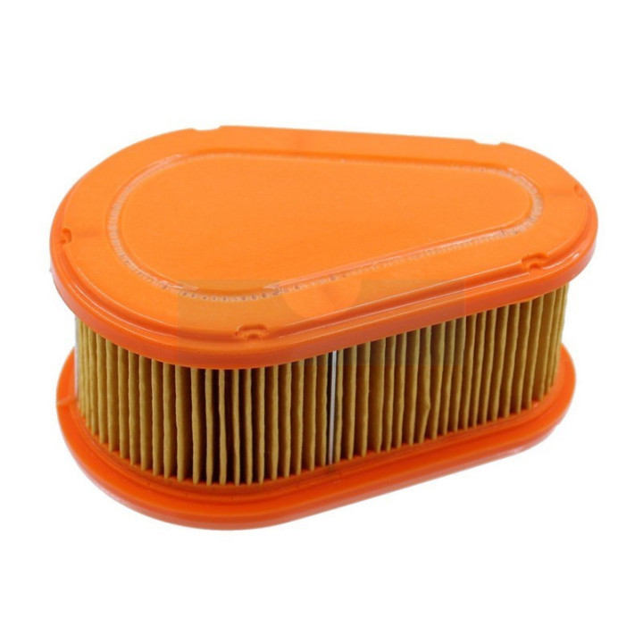 Filtre à air pour moteur Briggs & Stratton (792038)