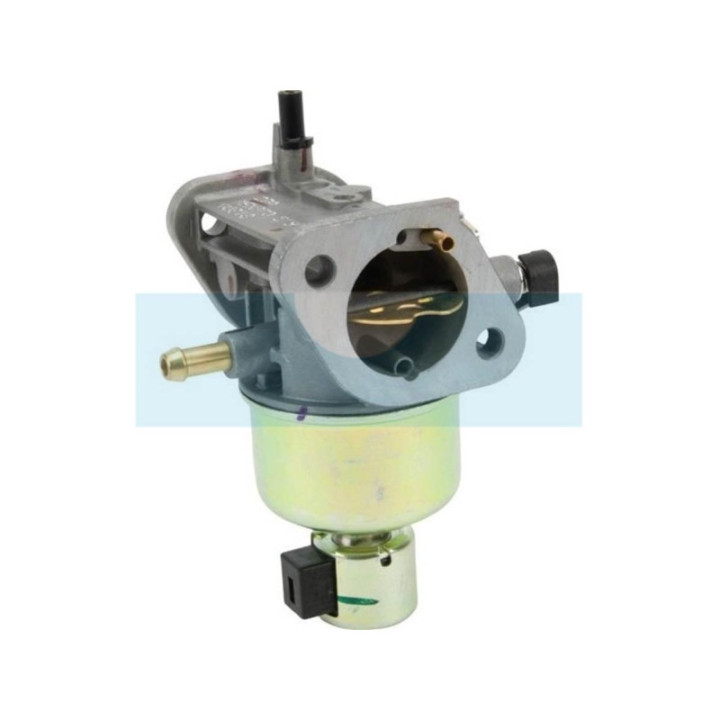 Carburateur pour moteur Kawasaki (150040818)