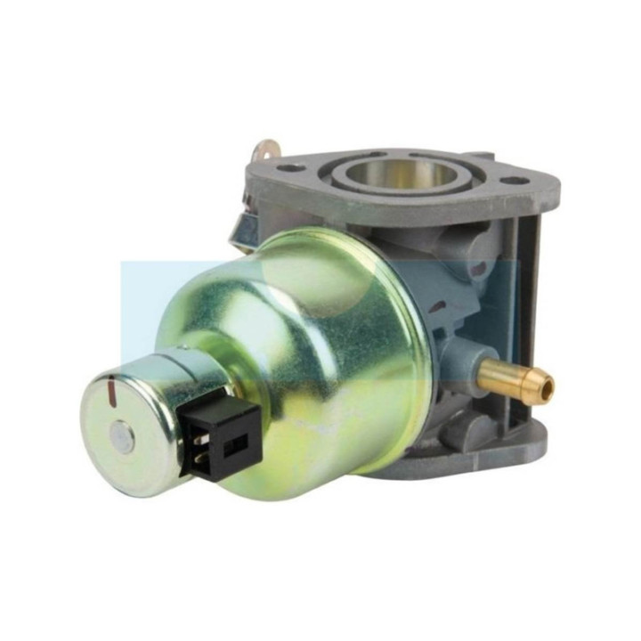 Carburateur pour moteur Kawasaki (150040818)
