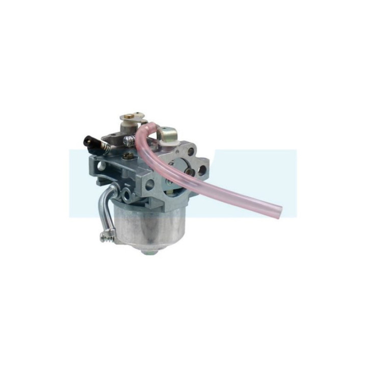 Carburateur pour moteur Kawasaki (150032623)