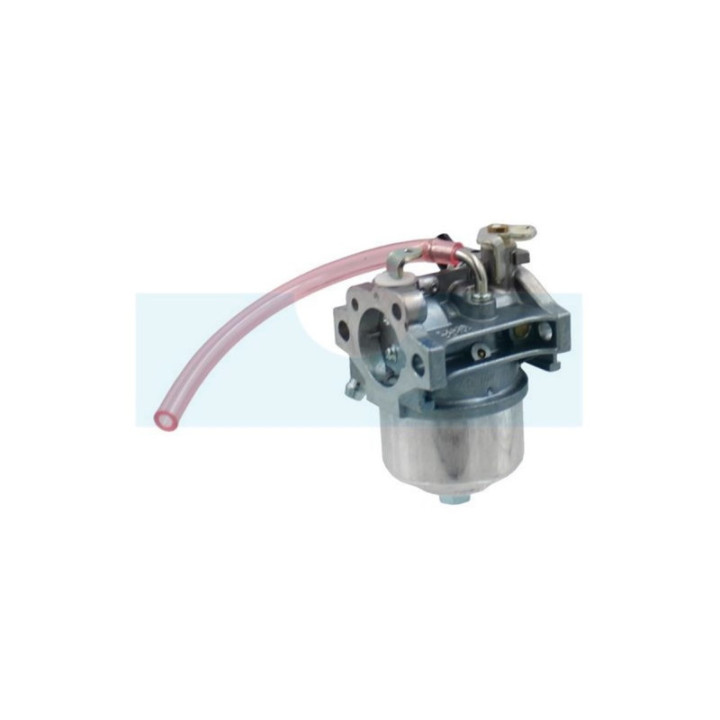 Carburateur pour moteur Kawasaki (150032623)
