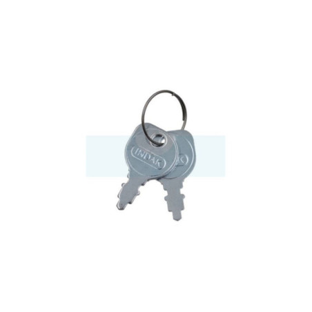 Clé de contact pour tracteur tondeuse MTD (7250201)